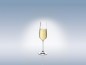 Preview: Villeroy & Boch Purismo Specials Champagnerkelch 1137810070 b