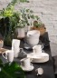 Preview: vivo-Villeroy-Boch-Group-Basic-White-gedeckter-Tisch-1