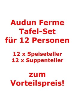 Villeroy & Boch Audun Ferme Tafel-Set für 12 Personen / 24 Teile