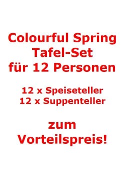 Villeroy-Boch-Colourful-Spring-Tafel-Set-fuer-12-Personen