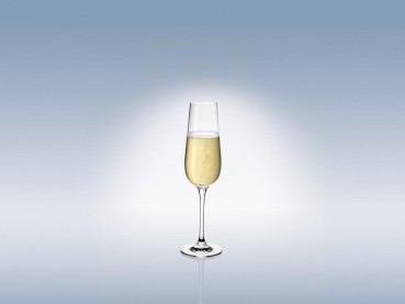 Villeroy & Boch Purismo Specials Champagnerkelch 1137810070 b