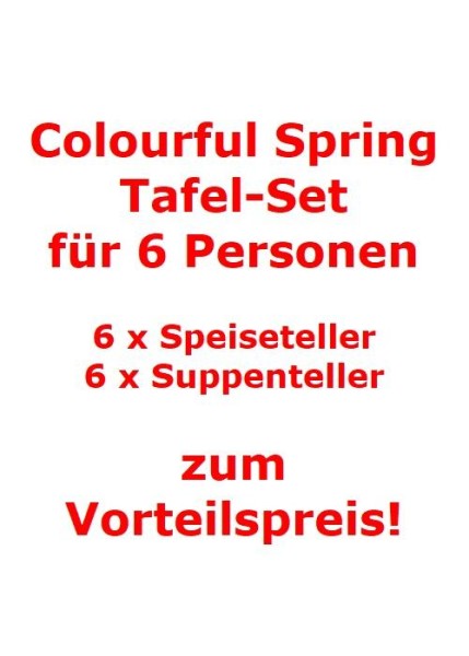 Villeroy-Boch-Colourful-Spring-Tafel-Set-fuer-6-Personen